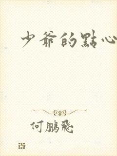 少爷的点心封面