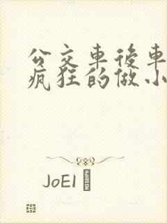 公交车后车座的疯狂的做小