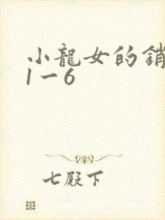 小龙女的销魂夜1一6封面