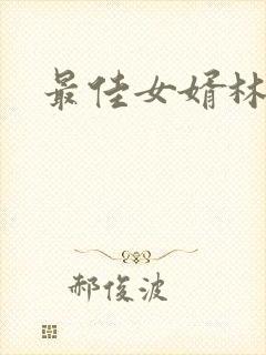 最佳女婿林凡封面