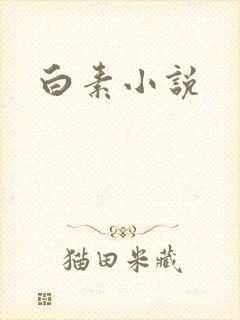 白素小说
