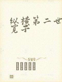 纵横第二世界 宽子封面