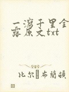 一泻千里金银花露原文txt封面