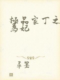 极品家丁之册母为妃封面