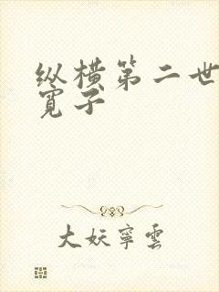 纵横第二世界 宽子