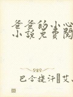 爸爸的小心肝儿小说免费阅读封面