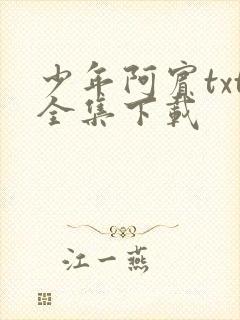 少年阿宾txt全集下载封面