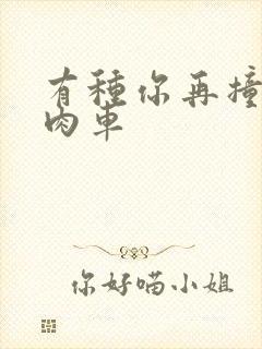 有种你再撞一下肉车