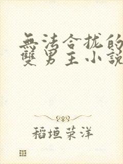 无法合拢的总裁双男主小说