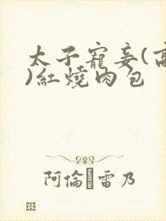 太子宠妾(高肉)红烧肉包