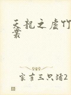 天龙之虚竹戏花丛封面