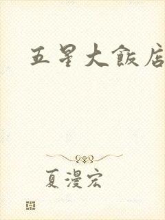 五星大饭店小说