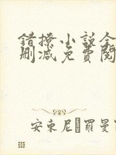 错撩小说全文无删减免费阅读封面