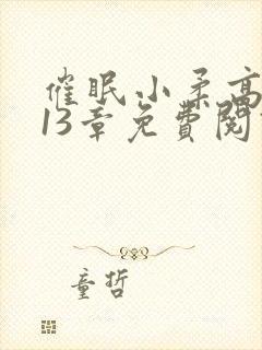 催眠小柔高达第13章免费阅读封面