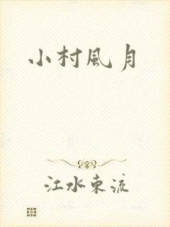 小村风月封面