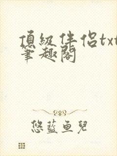 顶级伴侣txt笔趣阁封面