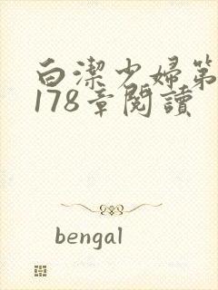 白洁少妇第1一178章阅读封面