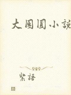 大团圆小说封面