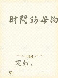 财阀的母狗们