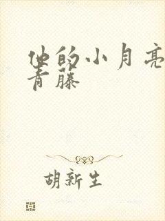 他的小月亮by青藤