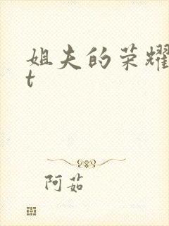 姐夫的荣耀txt封面