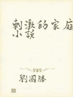 刺激的家庭乱仑小说