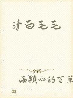 清白毛毛
