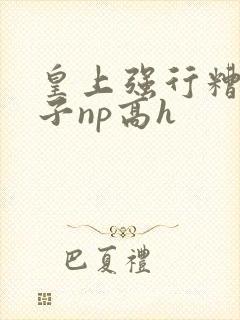 皇上强行糟蹋太子np高h封面