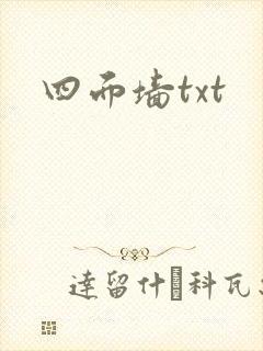 四面墙txt封面