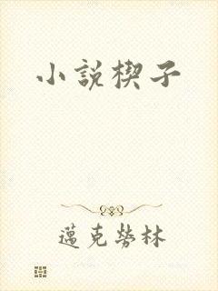 小说楔子