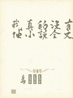 我真的没有引诱他小说全文免费阅读笔趣阁