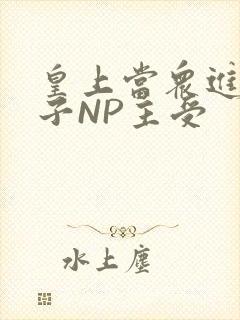 皇上当众进入太子NP主受