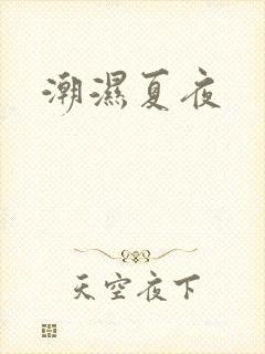 潮湿夏夜封面