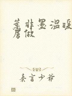 叶非墨温暖在厨房做