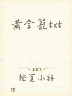 黄金笼txt