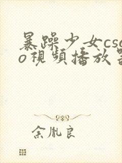 暴躁少女csgo视频播放器推荐