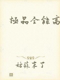 极品全能高手