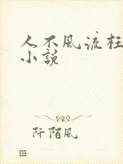 人不风流枉少年小说封面