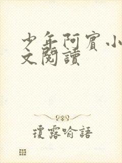 少年阿宾小说全文阅读