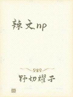 辣文np