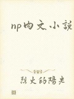 np肉文小说封面