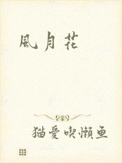 风月花封面