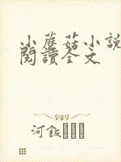 小蘑菇小说免费阅读全文