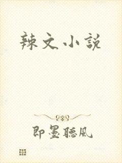 辣文小说