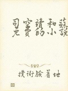 司空靖和苏月汐免费的小说笔趣阁