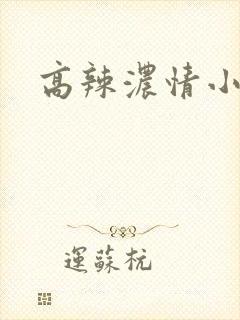 高辣浓情小说