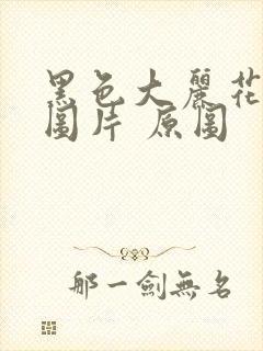 黑色大丽花真实图片 原图