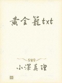 黄金笼txt