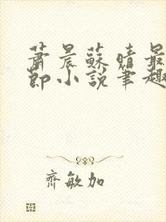 萧晨苏晴最新章节小说笔趣阁