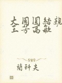 大团圆结亲情会王芳高敏封面